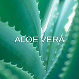 Elizabeta Zefi Thickening Volumen aloe vera